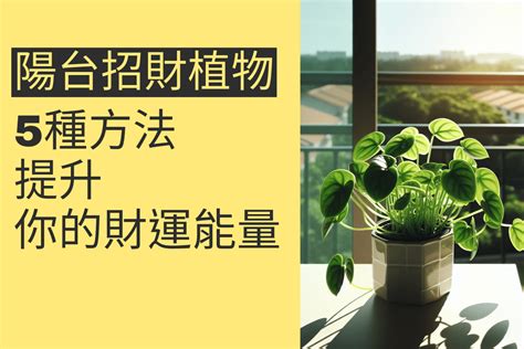 前陽台 招財植物|五種前陽台招財植物大公開